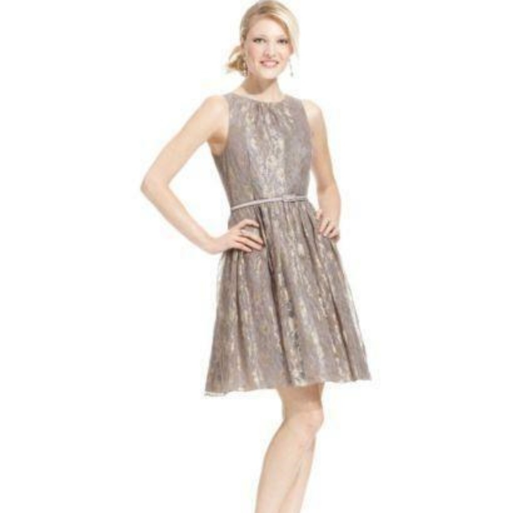 Jessica Howard Sleeveless Lace Women Dress Size 6